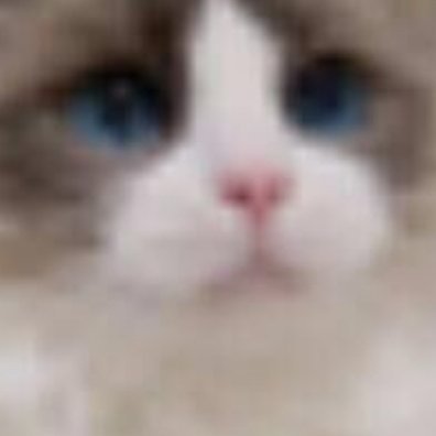 Asdftga's profile picture. 1