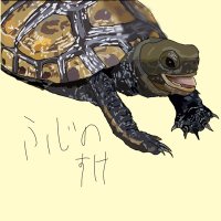 ふじのすけ (@nwiyogfcjp89308) 's Twitter Profile
