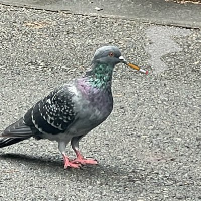 ca3esu's profile picture. 