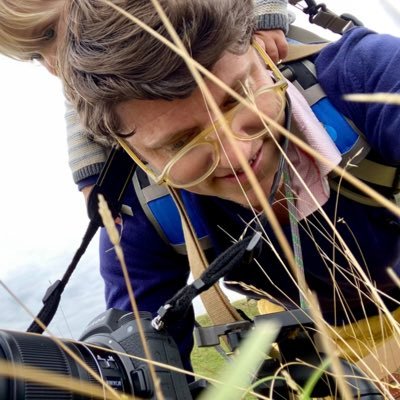 DavidBorrington's profile picture. Borrington’s Art work explores, and is a direct response to, fast-moving current social and world events. Through exposing flaws in the democratic model.