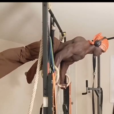 Calisthenics Streetlifter Profile