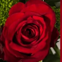 سلمى (@salma32170280) 's Twitter Profile Photo