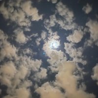 وحيد كالقمر🌙 (@oneday_v) 's Twitter Profile