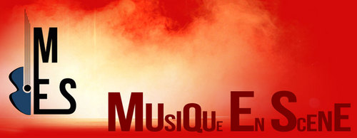 MusiqueEnScene's profile picture. journaliste animateur radio musique