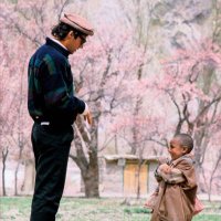 Adeel Aman (@aaqurashi) 's Twitter Profile