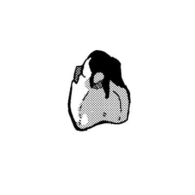 やおさんのプロフィール画像