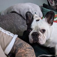 Kenny-D (@kennyd11214332) 's Twitter Profile