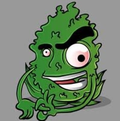 hbustamante_s's profile picture. 