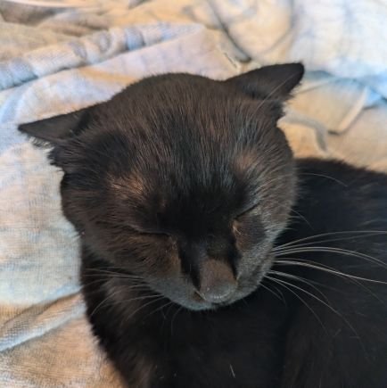 tanakappa_rapa's profile picture. 