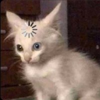 V (@pienarasa__) 's Twitter Profile Photo