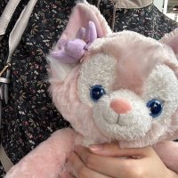 すぃ (@sui_usalife) 's Twitter Profile