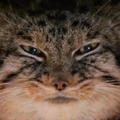 ScHoolgirl_Q's profile picture. washington. he/him. 22. 🏳️‍🌈