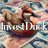 InvestDuck avatar