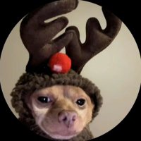 Dimas (@imdimasss) 's Twitter Profile Photo Dimas (@imdimasss) 's Twitter Profile Photo