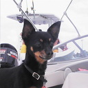 william duque - @williamduque22 - Twitter