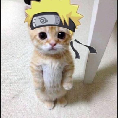 itsMacchiatoo's profile picture. nothing to see here