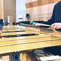 橋本 明香里 (@hashiaka_perc) 's Twitter Profile