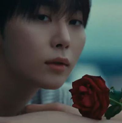 セブチ🍊🐯/XG🍄🦄/ ENHYPEN🐈🦊/&team🐣🍓/BTS🐨/だけど結局箱推し
jaypark/PH-1/CAMO…
洋楽アーティスト
その他もろもろの雑食
無言フォロー失礼します🙇♀️🙋
🫥😶🌫️🩵❄️🫧🪽