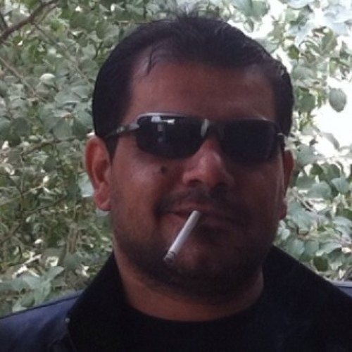 alimajeedhameed's profile picture. 