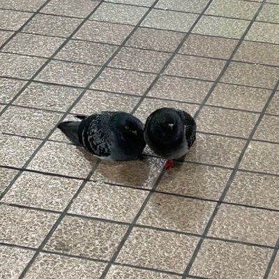 kimrin43's profile picture. 