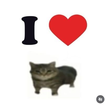 klr_Ocean's profile picture. 