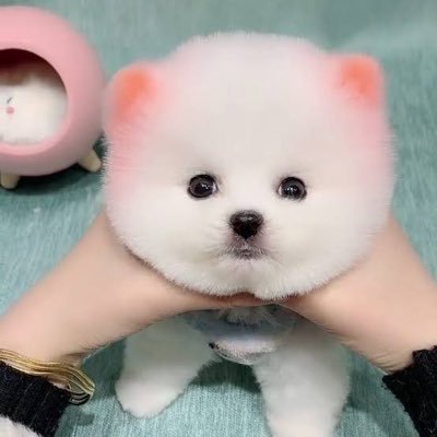 builtinme4you's profile picture. gamblers’ gambles