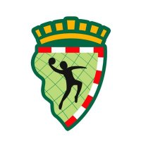 Balonmano Alcobendas (@bmalcobendas) 's Twitter Profile