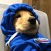 ozzy (@ozzyqow) Twitter profile photo ozzy (@ozzyqow) Twitter profile photo