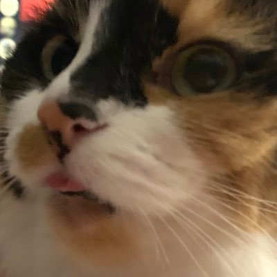 radさんのプロフィール画像