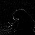 Otto Farcale (@drotttfarcale) Twitter profile photo Otto Farcale (@drotttfarcale) Twitter profile photo