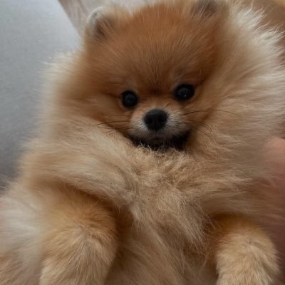 nataliakvc's profile picture. 