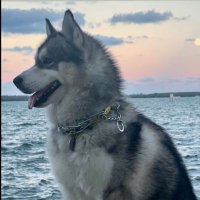 Jaiverth (@jainiverth) 's Twitter Profile