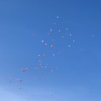 ひろ (@hirouraaaa) 's Twitter Profile
