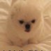 うぐ (@okendb) Twitter profile photo うぐ (@okendb) Twitter profile photo