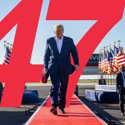 TracyT2820's profile picture. 