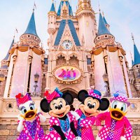 🦋chiharu🍓🍫🥞 (@cherry_c_1005) Twitter profile photo