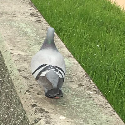 西田さんのプロフィール画像