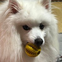 eii8 (@daa378o) 's Twitter Profile Photo