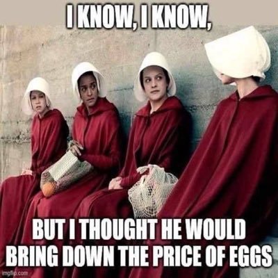 notbrad_k's profile picture. lock him up