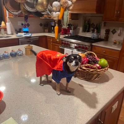 KristaBald77272's profile picture. 