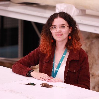 LauraLQuinche's profile picture. PhD Student @UWBiology 🦇🌺 
Colombia 🇨🇴 | She/her; Ella