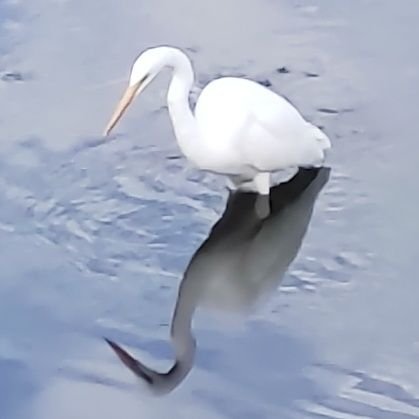 Zr7Vt's profile picture. 