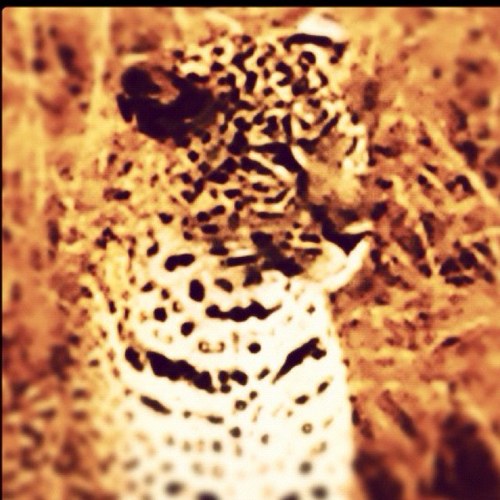 nuuthatch's profile picture. Whoosh operations manager, Tesco (All views are my own)