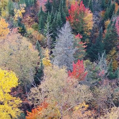 florence919258's profile picture. 