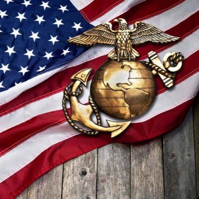 AnissaSadeghi1's profile picture. mom, wife, sister, daughter, love my God, my family, my country and my President! I’m a proud conservative and #walkaway independent. ooh rah 🇺🇸🇺🇸