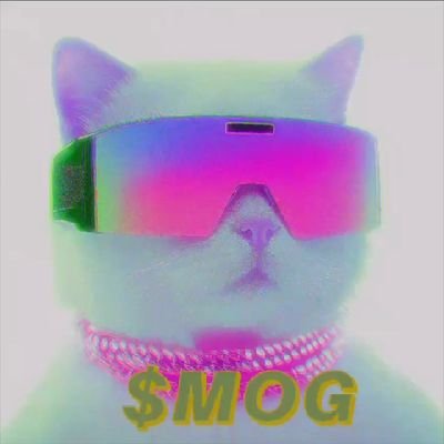 _Cha1nuser's profile picture. 