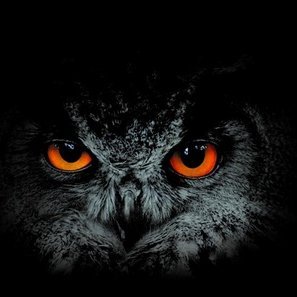 Muhalif__Baykus's profile picture. Her şeye de bir lafımız var...