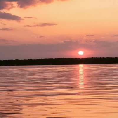 CakeWiz100's profile picture. 