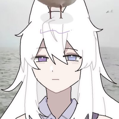 白冷さんのプロフィール画像