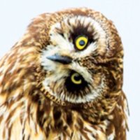 Edward Baker 🐇 (@edward_767) 's Twitter Profile